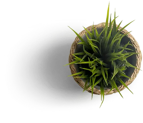 Bclub.mobi decorative flower pot